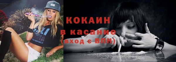 тгк Гусев