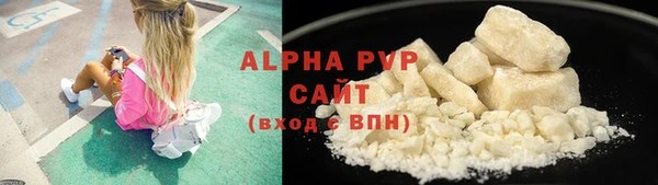 тгк Гусев