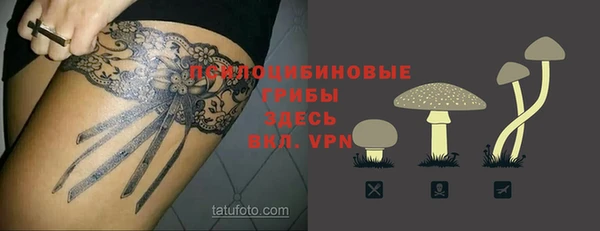 a pvp Дмитров