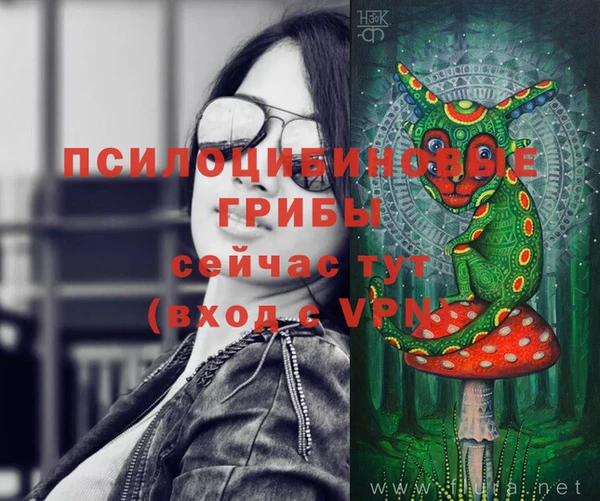тгк Гусев