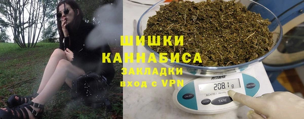 тгк Гусев