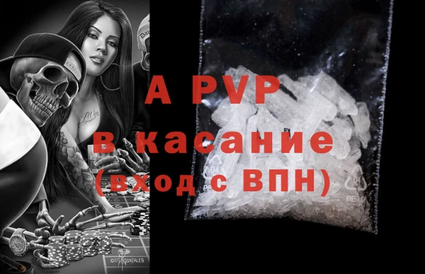 тгк Гусев
