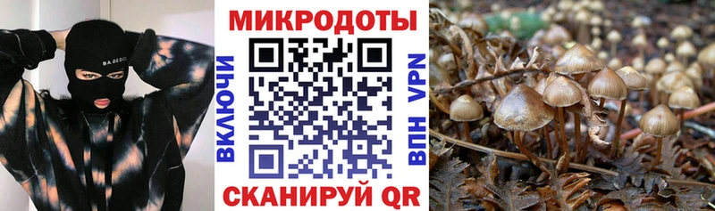 Купить  Качканар  Псилоцибиновые грибы ЛСД 